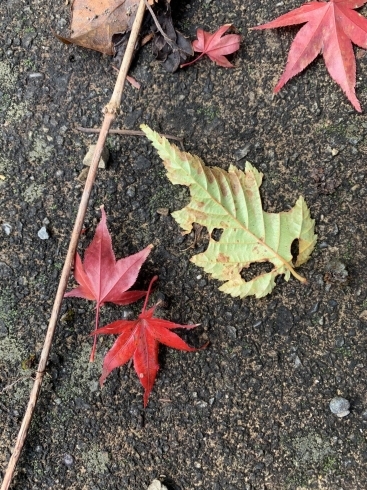 真っ赤だなぁ真っ赤だなぁ「夕やけ小やけふれあいの里　虹色ディ」