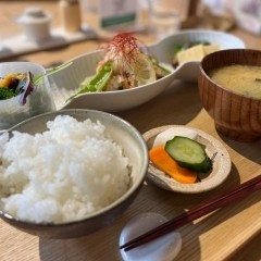 【まりも食堂】1食を丁寧に大切に。女性に大人気のランチ&カフェ