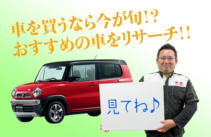 車を買うなら今が旬！？　おすすめの車をリサーチ！！