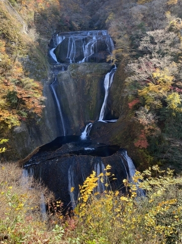 第ニ観爆台からの袋田の滝です「ズル休み(^^;;  西船橋のアンティークショップ」