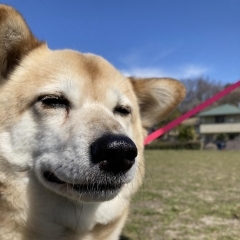 ごはん大好き♪うなちゃん