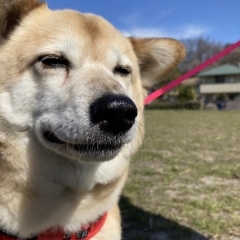 ごはん大好き♪うなちゃん