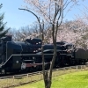 桜山公園|深川市