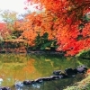 【紅葉スポット】 岡谷市 塩嶺御野立公園