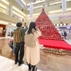鴻巣びっくりひな祭り【2025】が始まりました!(埼玉県鴻巣市)