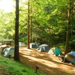 キャンプ初心者さんも楽しめる！初めてのキャンプ自然と遊ぼう！