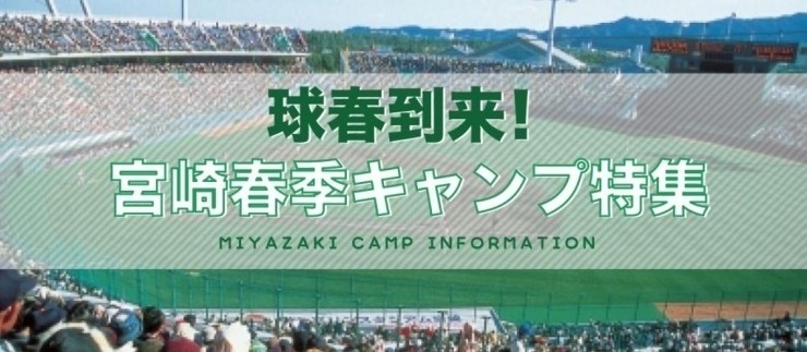 2020年宮崎プロ野球、サッカー春季キャンプ情報