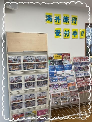 当店1番人気は新潟空港発の台湾🙌🏻︎‪💓‪「大滝観光旅日記！！店内こんな感じです(🎀•͈ᴗ•͈)ꕤ」