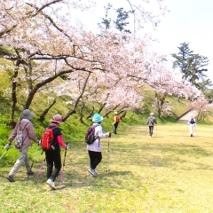 千葉県立富津公園|富津市