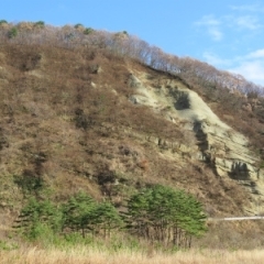 綱取断層・和賀の松島