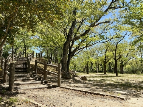 弁天山公園