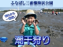 ふなばし三番瀬海浜公園潮干狩り2024情報！　期間は4月24日（水）～5月29日（水）まで