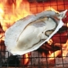 【オレたちのカキ焼家|太良町】旅館「蟹御殿」の敷地内に冬季限定でオープンするカキ焼き小屋!