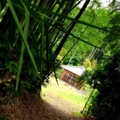 伊奈の風景 緑深まる初夏の頭殿権現社