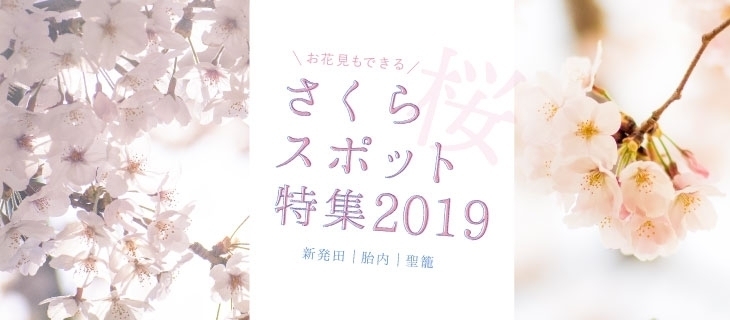 お花見もできる、桜スポット特集2019【新発田・胎内・聖籠】