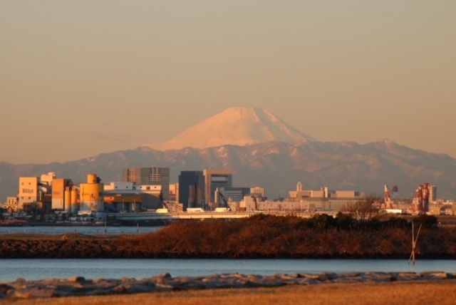 「初日の出　絶景ポイント！　葛西臨海公園から眺める初日の出」