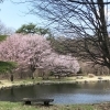【滝沢市・森林公園】