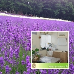 アロマテラピーをもっと身近に楽しみましょう!