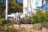 猫好きにはたまらない島。それが佐久島!