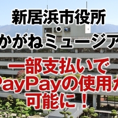 11月20日から新居浜市役所でPayPayでの支払いが可能に！