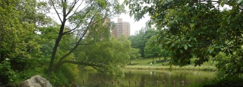 都筑区の公園と緑道のすべて・北部編