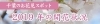 千葉の桜! 2019年開花状況(~2019年4月14日まで)【最新版】