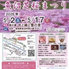 2026年5月2日(土)~5月17日(日) 魚沼芝桜まつり