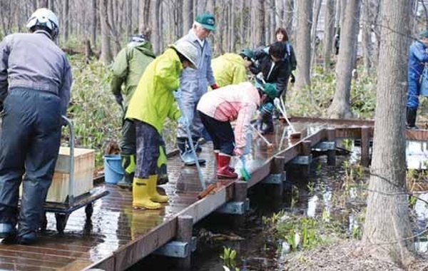 身近で発見！　手稲区の生き物