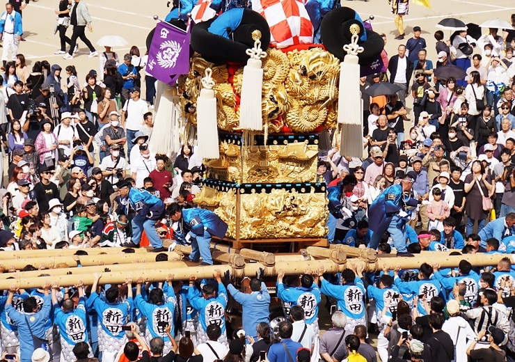 2025年10月17日撮影|新田太鼓台(山根グラウンド統一寄せ)