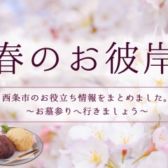 春のお彼岸情報まとめ(西条)