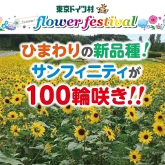 東京ドイツ村 フラワーフェスティバル