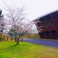 北浦運動場 体育館|北浦地区