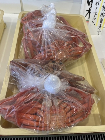 今日は紅ズワイガニの特価品も出ています。「今シーズン最終！松葉ガニ入荷情報」
