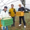 【第1弾】鉾田市×タイミートラベル! 鉾田の農業と観光の魅力をまるっと楽しむ体験ツアー