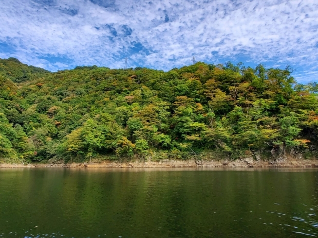 少し紅葉も始まっていました！「10月16日から始まる《長井 百秋湖の遊覧船》のプレ遊覧に行ってきました。」