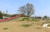 白井総合公園 健康と遊びの広場