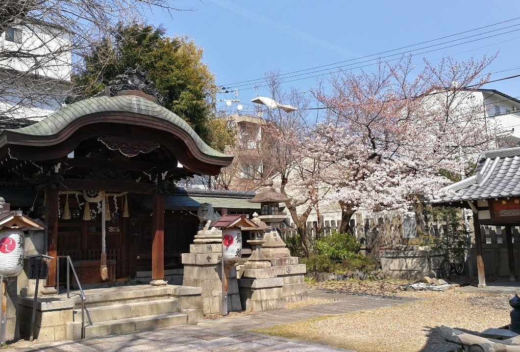 大将軍神社の桜