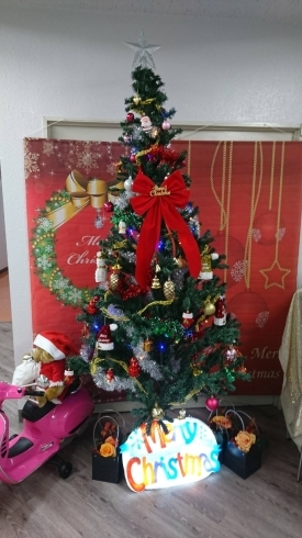 クリスマスツリー「クリスマスツリー♪【京成ドライビングスクール】」