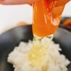 【松村養鶏場】最高級特選たまご「クイーンラン」50個セット(定期便あり)