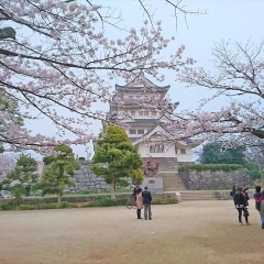 亥鼻公園(千葉城)|千葉市中央区