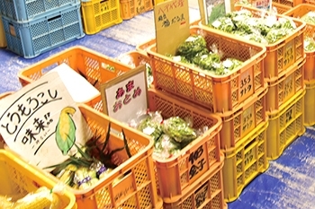 道の駅「やちよ」 農作物直売所クラフト