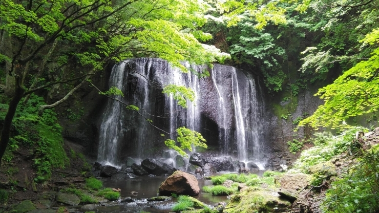 達沢不動滝「〇〇歳の記念日に...五十路オヤジの日帰り一人旅！？ほぐし屋本舗は元気です（笑）」