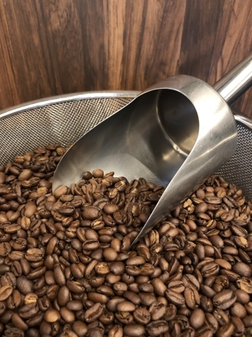 「津田沼南口  モリシアの珈琲豆専門店【グリーン珈琲焙煎所】 珍しい、 ブラジルのコーヒー2019年度新豆が限定入荷しました♪お試しください。」