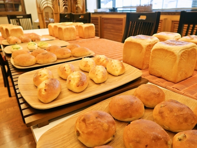 【富士山溶岩窯】で焼きあげたパン★「【富士山溶岩窯】で焼きあげる！料理人トリオが腕を振るう店『パン屋あんどキッチン 朝と昼と夜』さんを訪問☆水元1丁目、2020年2月18日オープン！」