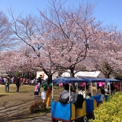 あかぎ公園｜鴻巣市