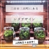 三田市で話題のshida design 阪急川西にてイベント出店