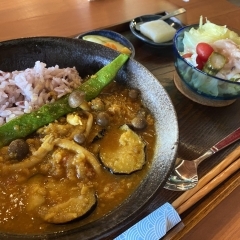 夏野菜とお豆さんが主役カレー（7月～9月）