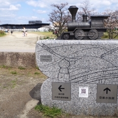 梅小路公園の桜