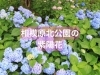 相模原市北公園のアジサイの名所概要