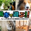 GW新潟市で遊ぶ!【第一弾】